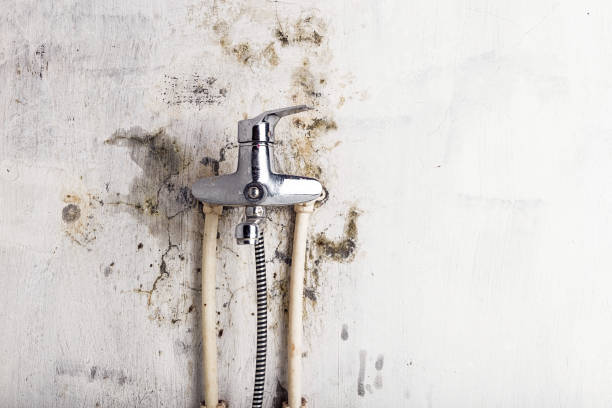 Varnell, GA Mold Remediation Company